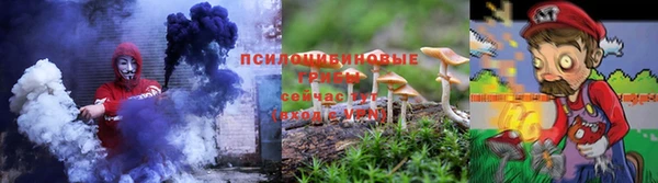 гидра Аркадак