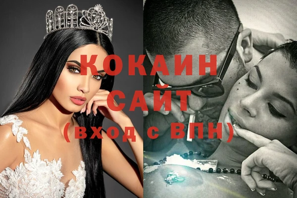 гидра Аркадак
