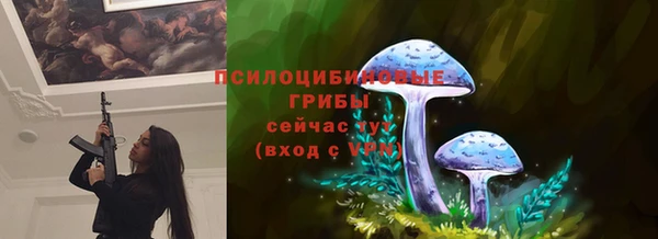 гидра Аркадак