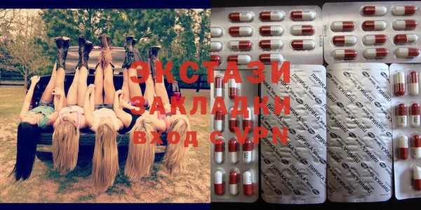 гидра Аркадак