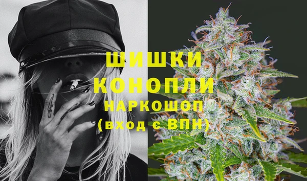 гидра Аркадак