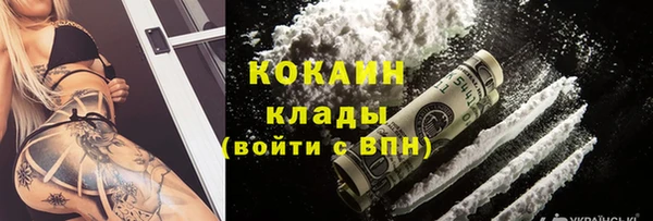 гидра Аркадак