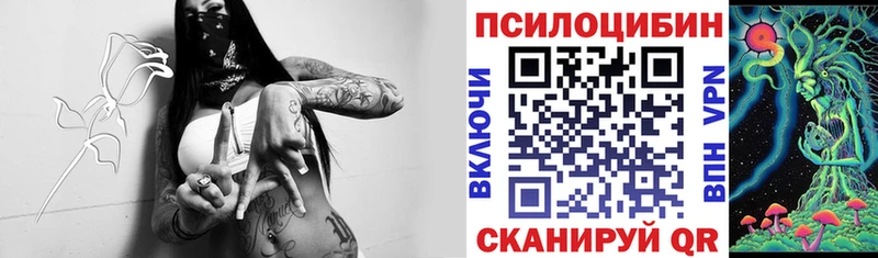 Псилоцибиновые грибы Cubensis  shop какой сайт  Спас-Клепики 